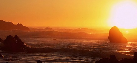 Surviving Depression and Death of a Loved One Surviving Depression and Death of a Loved One