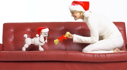 A Bipolar Holiday Guide for Stability over the Holidays A Bipolar Holiday Guide for Stability over the Holidays