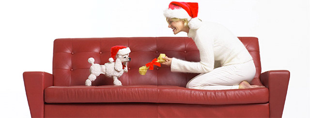 A Bipolar Holiday Guide for Stability over the Holidays A Bipolar Holiday Guide for Stability over the Holidays