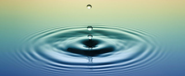 Mindfulness — Essential Bipolar Survival Skill? Mindfulness — Essential Bipolar Survival Skill?