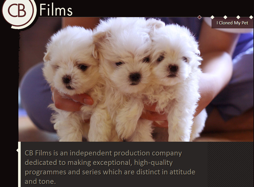 UK Film Makers