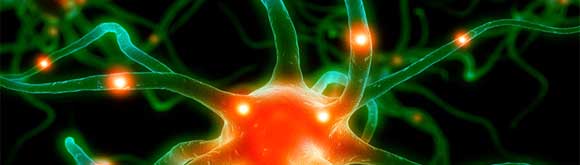 How Shock Therapy Is Saving Some >> Dr Oz Show The Shock That Could Save Your Life How Shock Therapy Is Saving Some >> Dr Oz Show The Shock That Could Save Your Life
